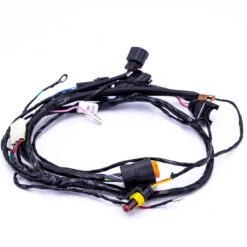 Wire Harness, TrailMaster 200E (EFI)