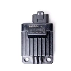 ECU, TrailMaster 300E