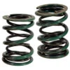55lb Dual Valve Springs