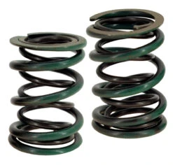 55lb Dual Valve Springs