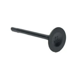Tillotson 212E Intake Valve
